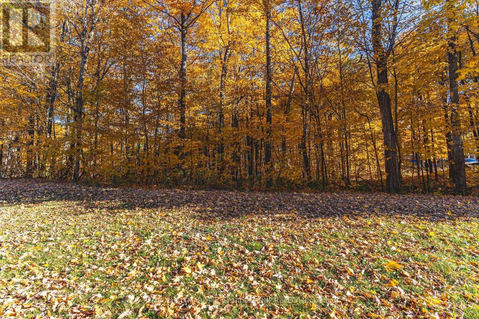 17 Maple Ridge Road, Oro-Medonte, ON