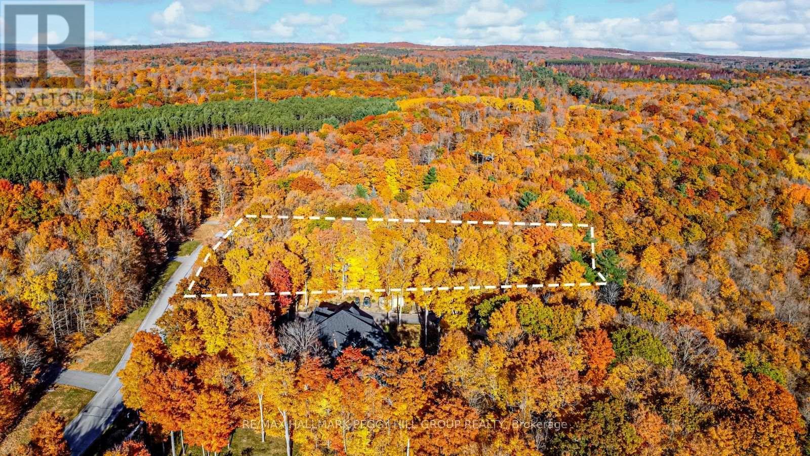 17 Maple Ridge Road, Oro-Medonte, ON