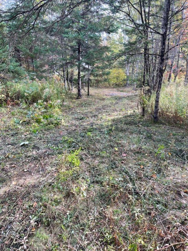 3335 358 Highway, Arlington, NS