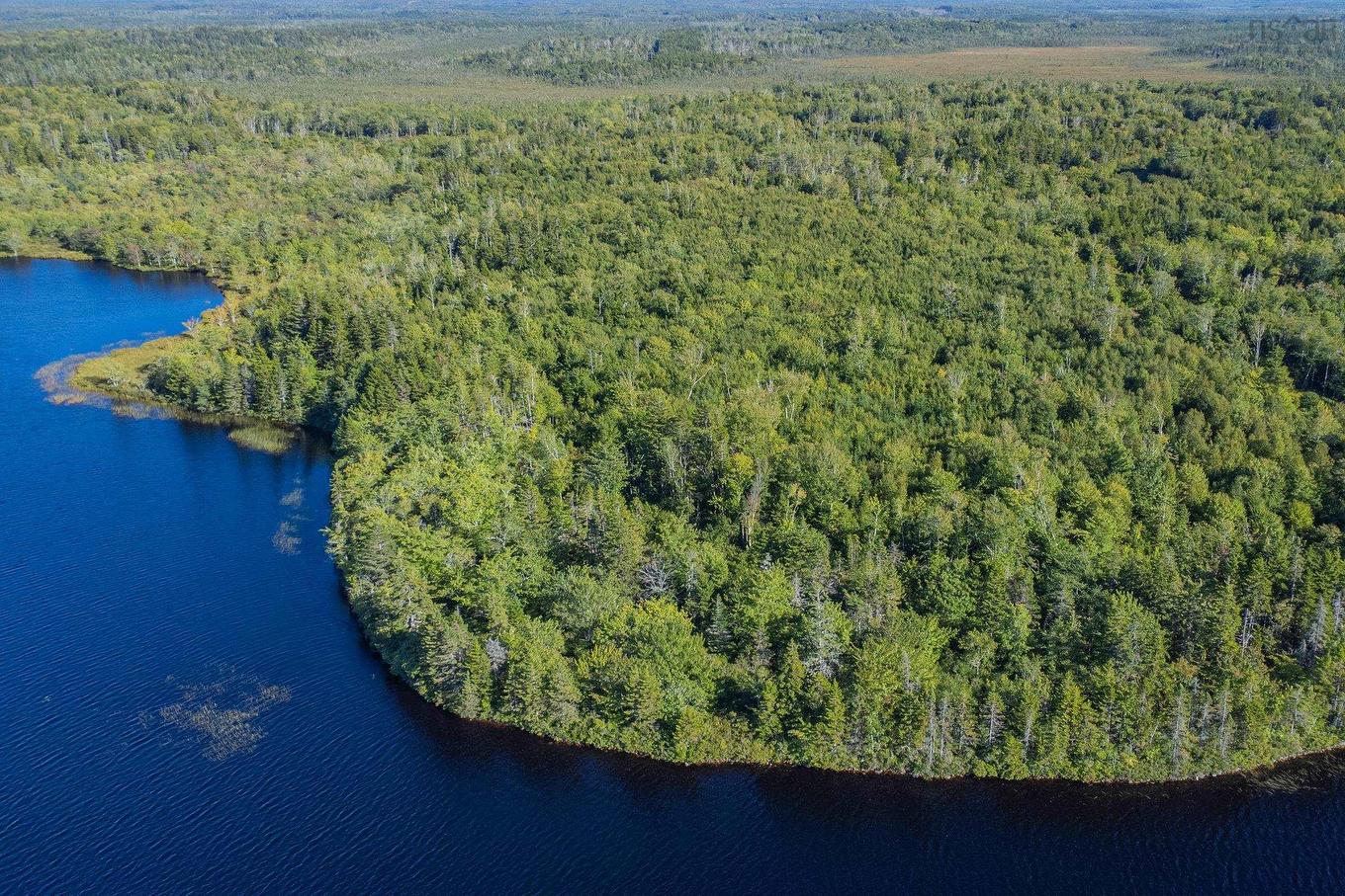 Ruel Du Lac Gaspereau, Mayflower, NS