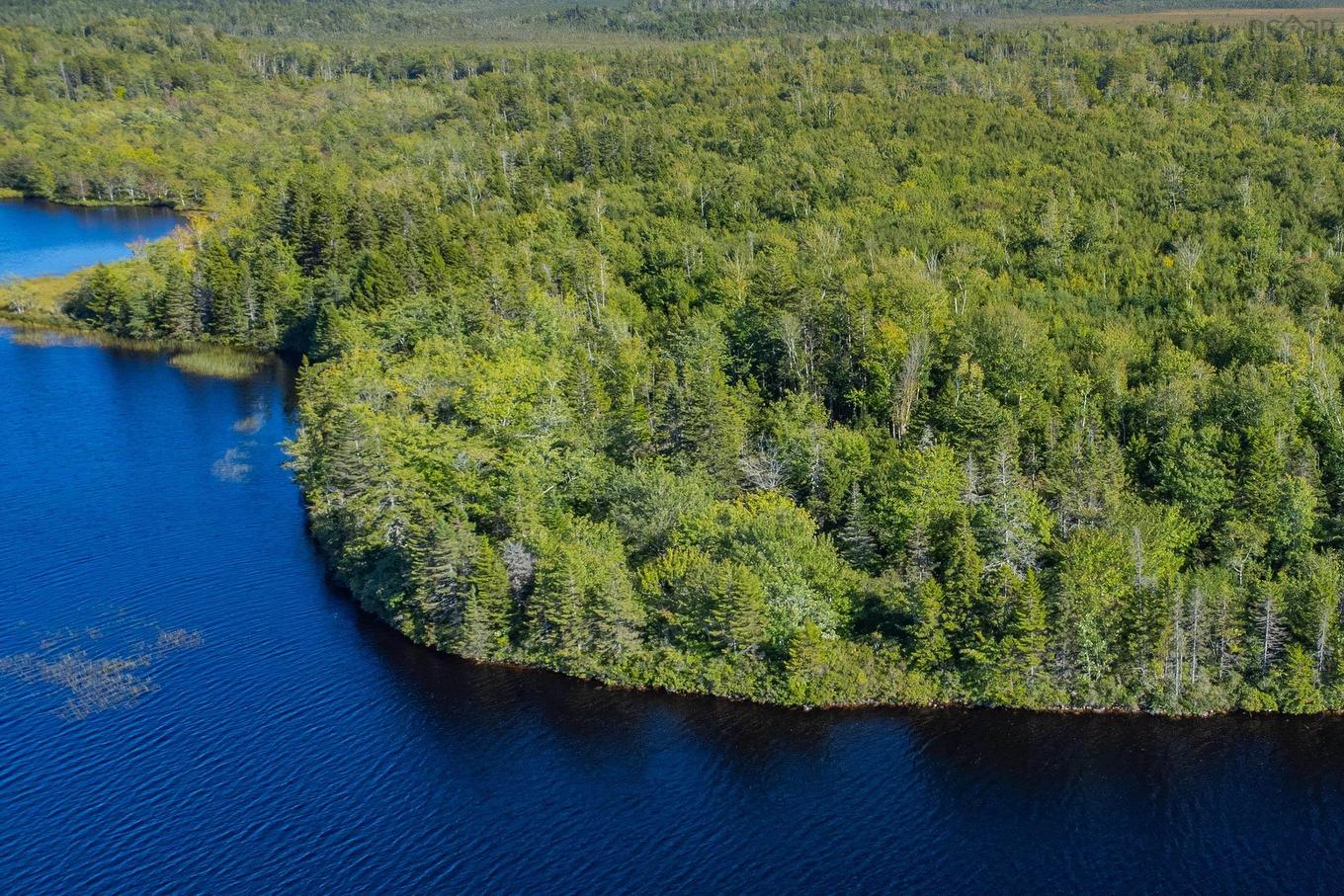 Ruel Du Lac Gaspereau, Mayflower, NS