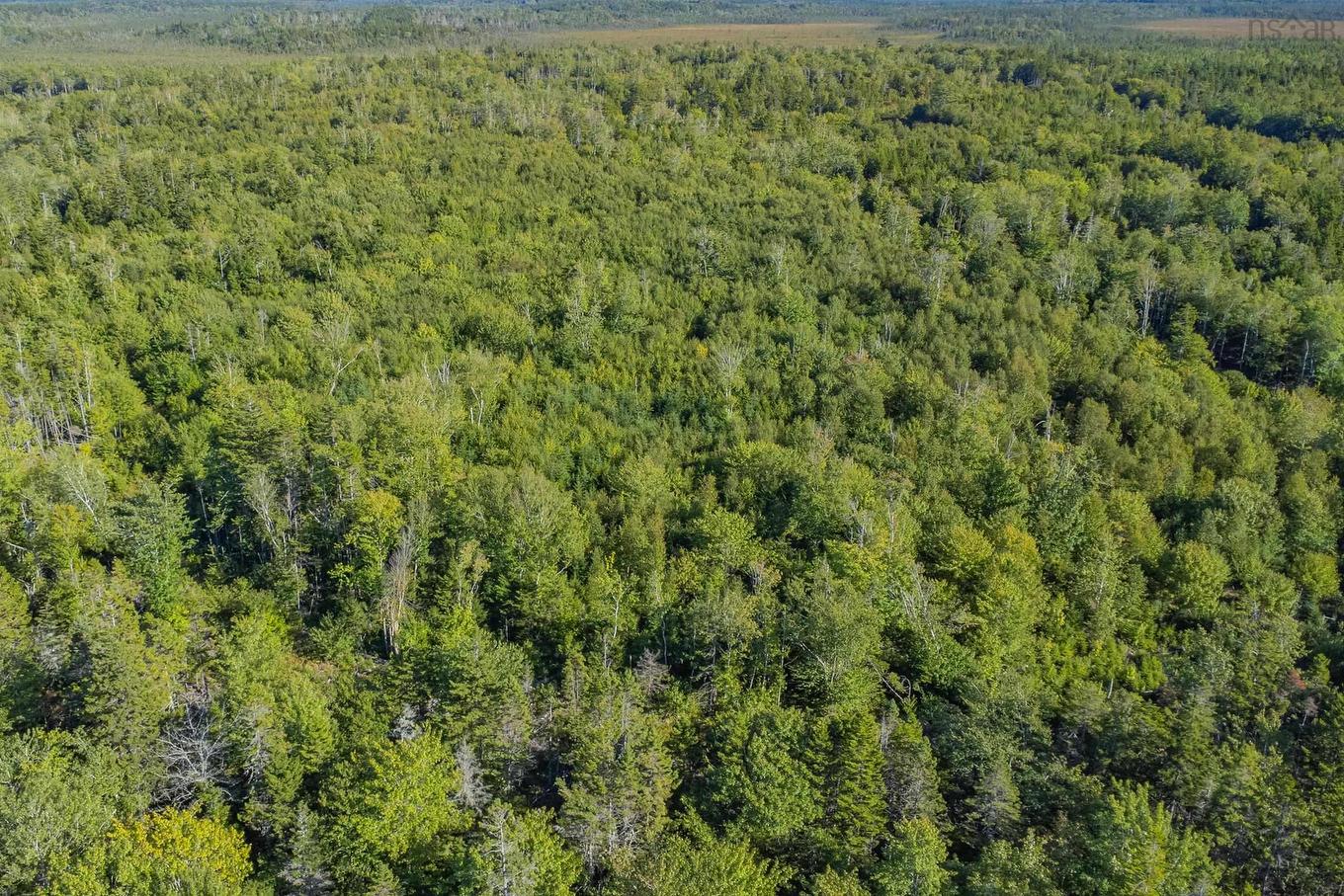 Ruel Du Lac Gaspereau, Mayflower, NS