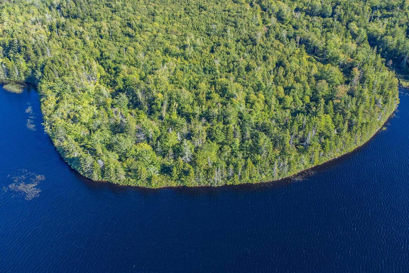 Ruel Du Lac Gaspereau, Mayflower, NS