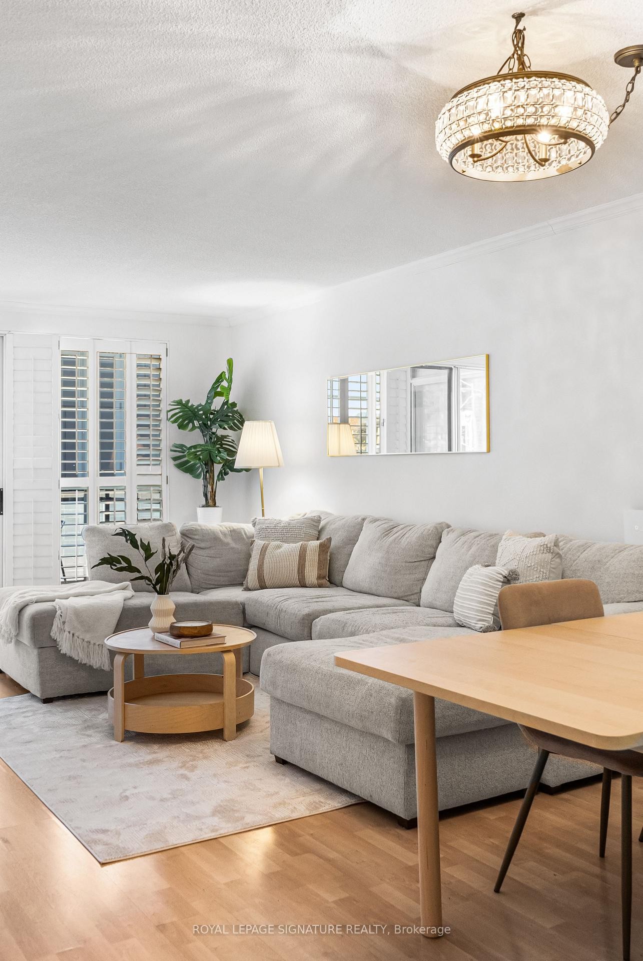 206-18 Hollywood Avenue, Toronto, ON - Indoor Photo Showing Living Room