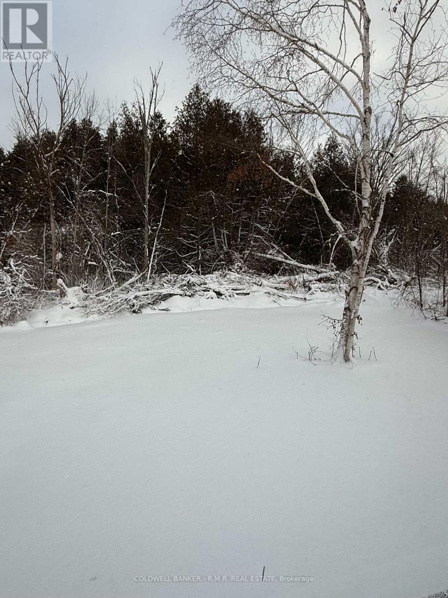 23 Blythe Shore Road, Kawartha Lakes (Fenelon), ON - Outdoor With View