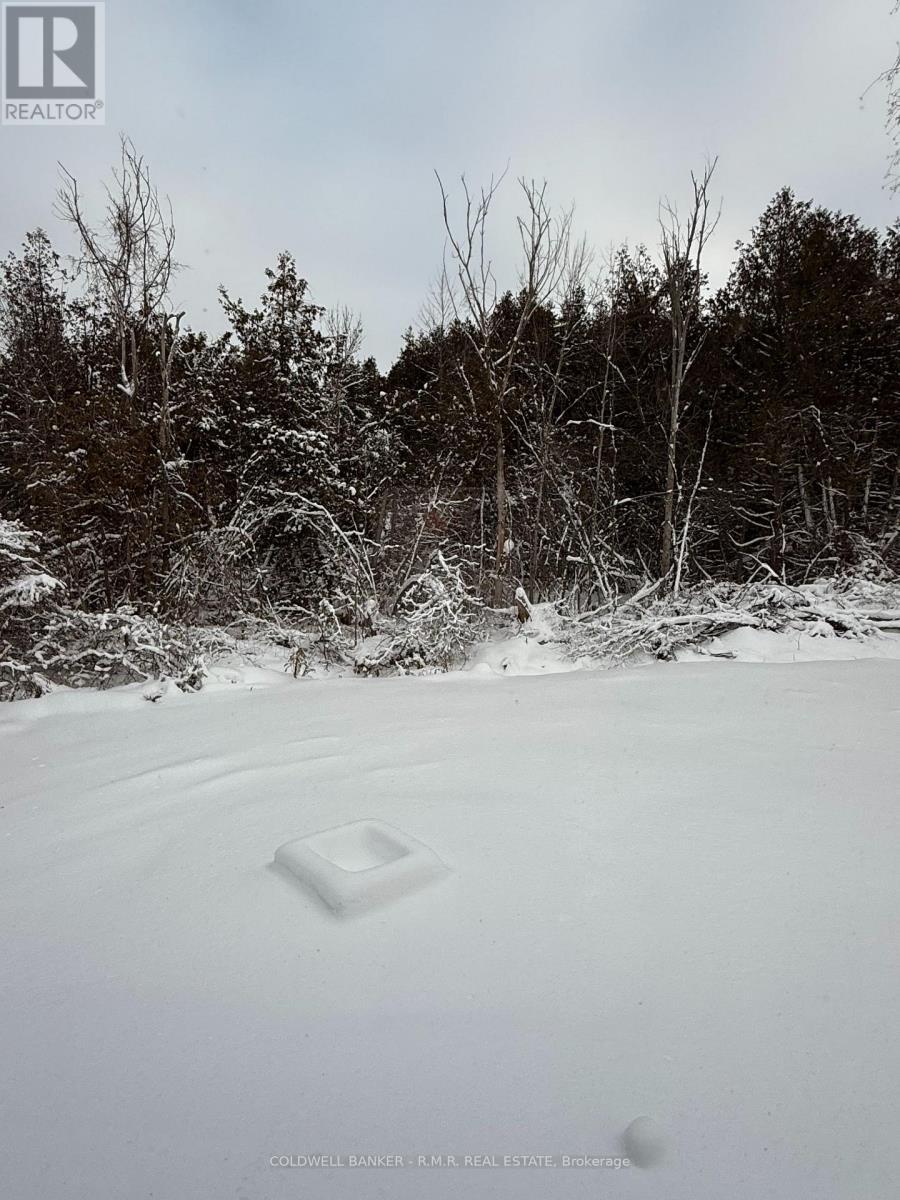 23 Blythe Shore Road, Kawartha Lakes (Fenelon), ON - Outdoor With View