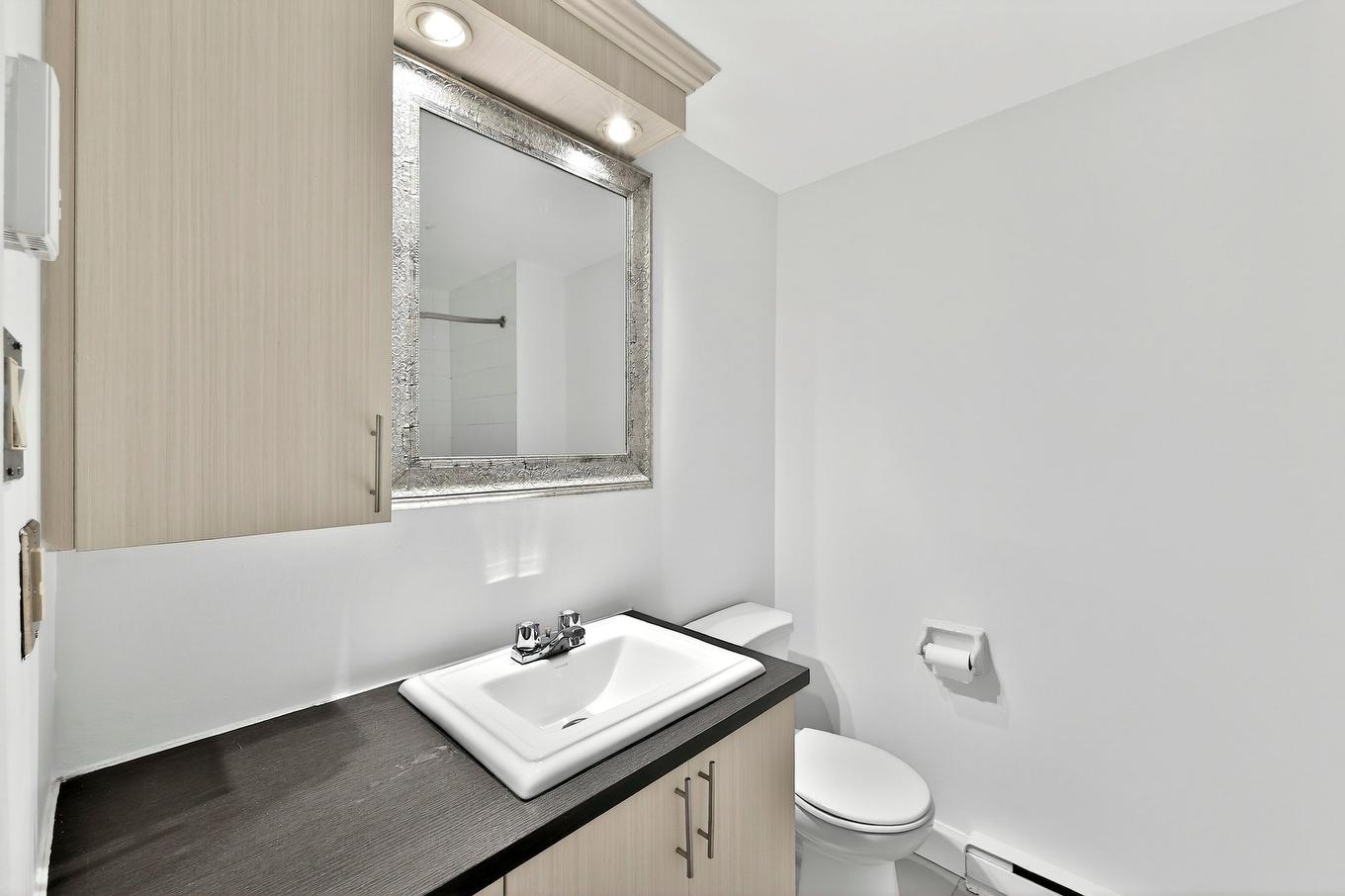 Salle de bains - 12-880 Boul. Iberville, Repentigny (Repentigny), QC - Indoor Photo Showing Bathroom