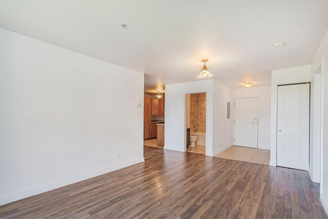 Living room - 433-5600 Rue Briand, Montréal (Le Sud-Ouest), QC - Indoor Photo Showing Other Room