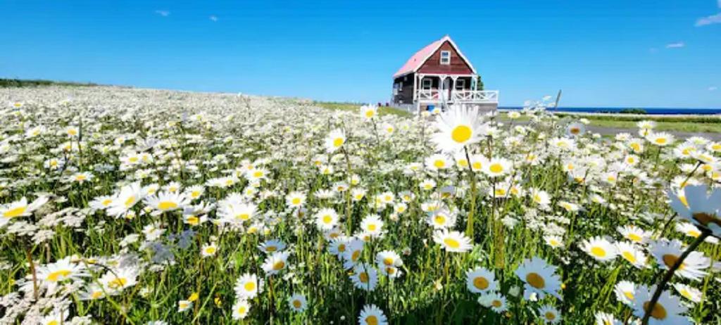 Façade - 749 Boul. Du Griffon, Gaspé, QC - Outdoor With View