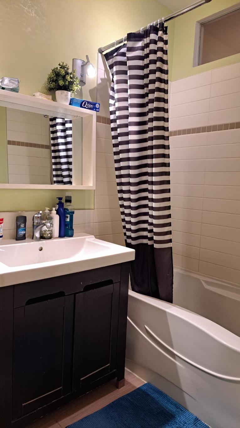 Salle de bains - 5382 Av. Papineau, Montréal (Le Plateau-Mont-Royal), QC - Indoor Photo Showing Bathroom