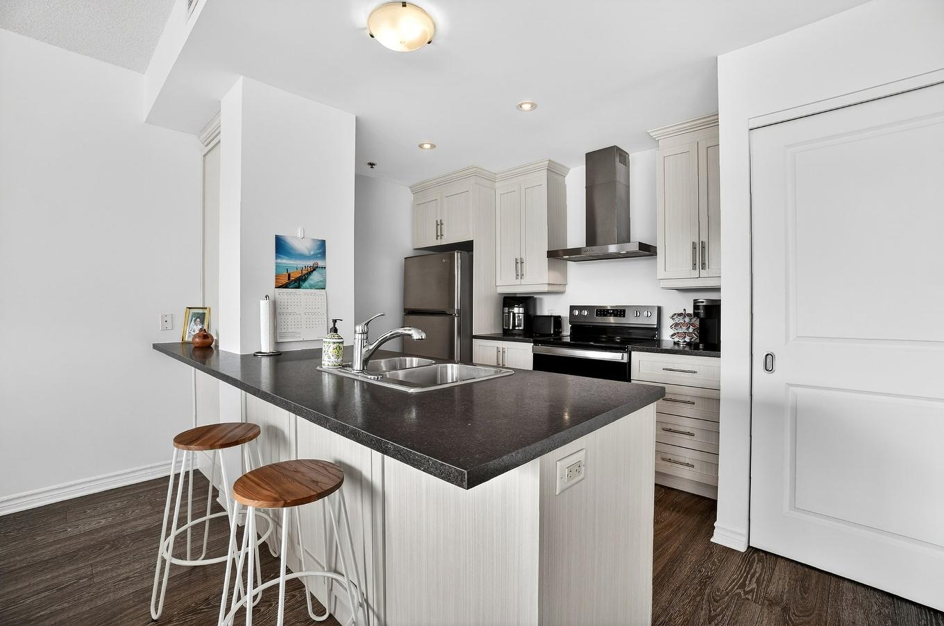 Kitchen - 203-575 Mtée Masson, Terrebonne (Terrebonne), QC - Indoor Photo Showing Kitchen With Double Sink