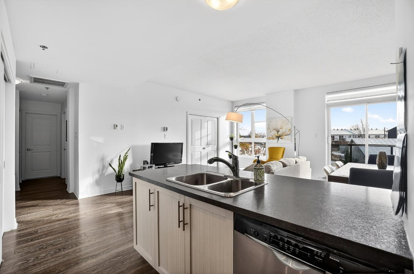Kitchen - 203-575 Mtée Masson, Terrebonne (Terrebonne), QC - Indoor Photo Showing Kitchen With Double Sink