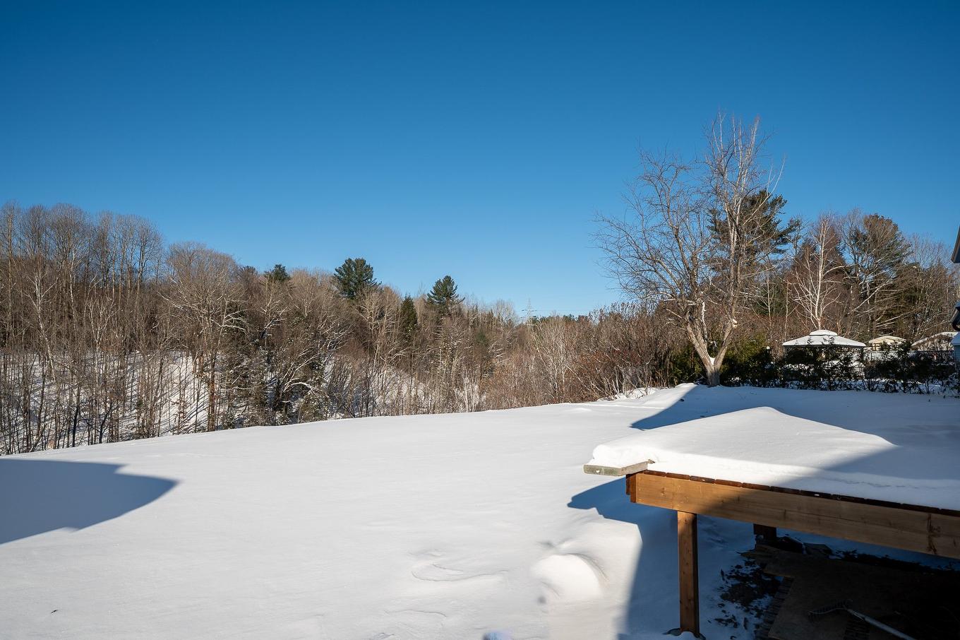 Backyard - 120 Tsse Lionel, Saint-Jérôme, QC - Outdoor