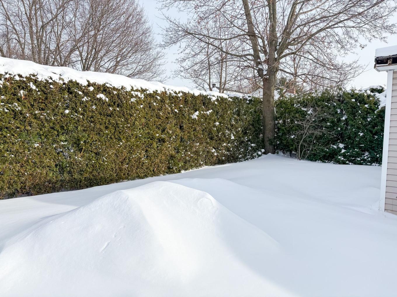 Backyard - 1615 Rue Jogues, Drummondville, QC - Outdoor