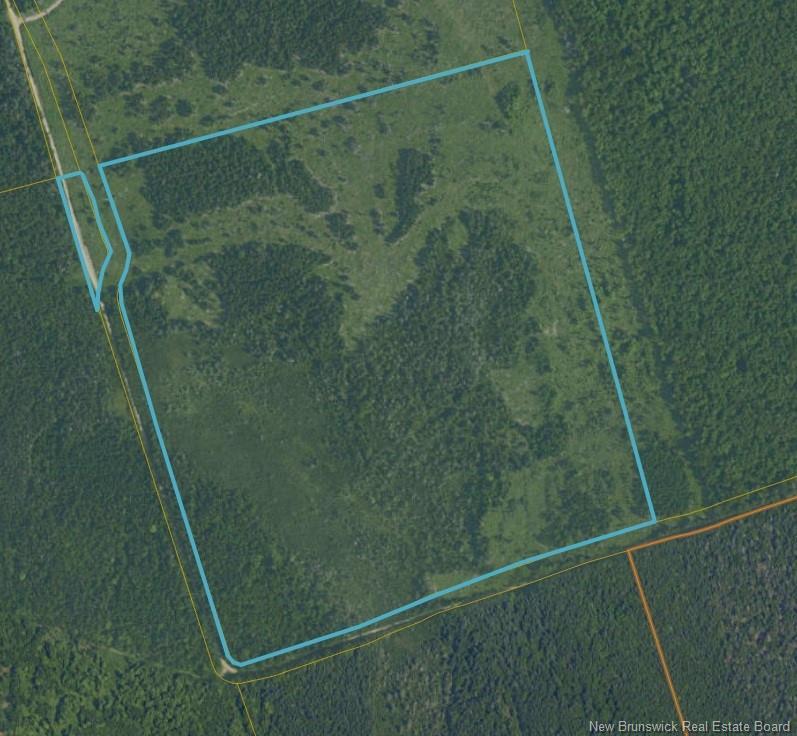 Lot Tingley Rd, Caledonia Mountain, NB