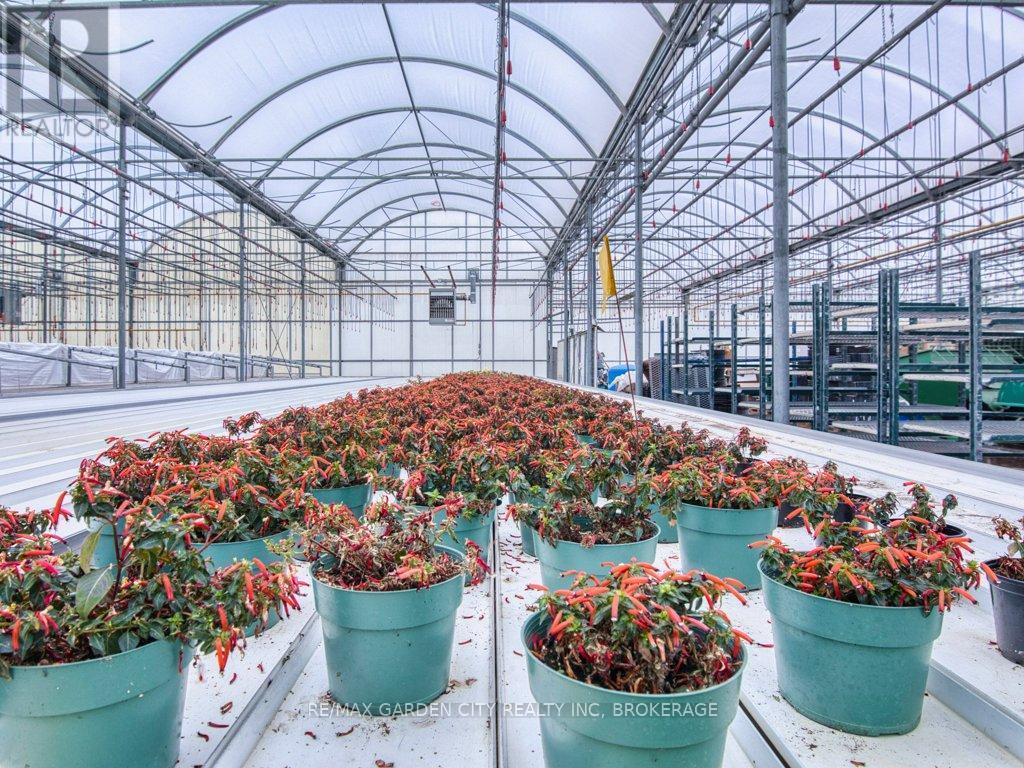 430 Concession 7 Road, Niagara-On-The-Lake (Rural), ON - Outdoor