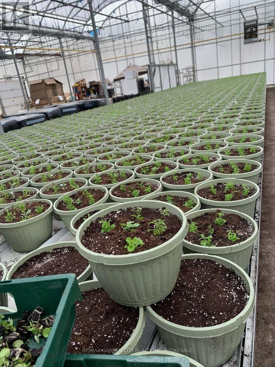 430 Concession 7 Road, Niagara-On-The-Lake (Rural), ON - Outdoor