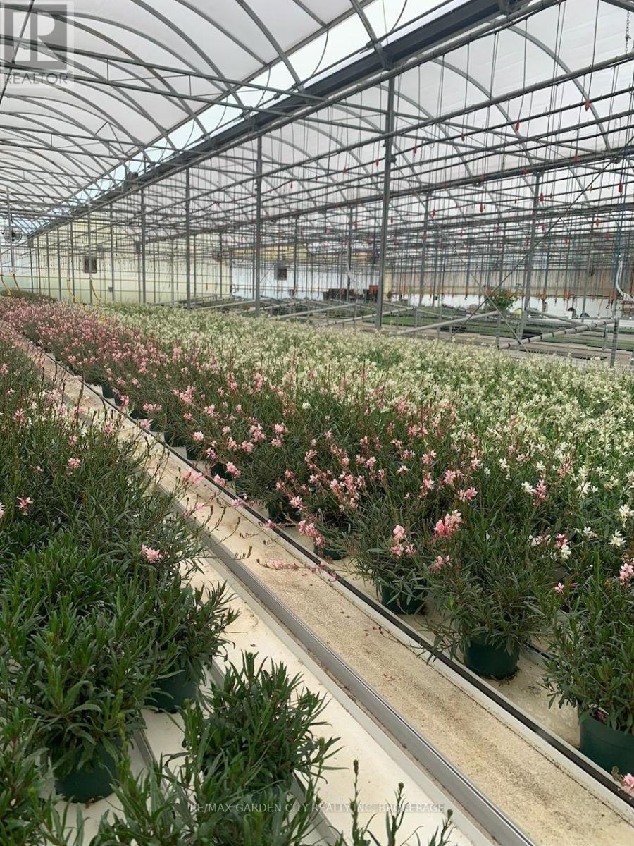 430 Concession 7 Road, Niagara-On-The-Lake (Rural), ON - Outdoor