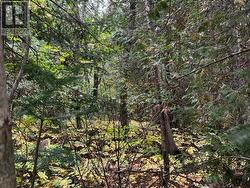 7 SHORE ROAD Saugeen Shores, ON N0H 2L0