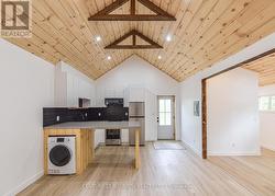 OPEWN CONCEPT KITCHE/LIVING/DINING -