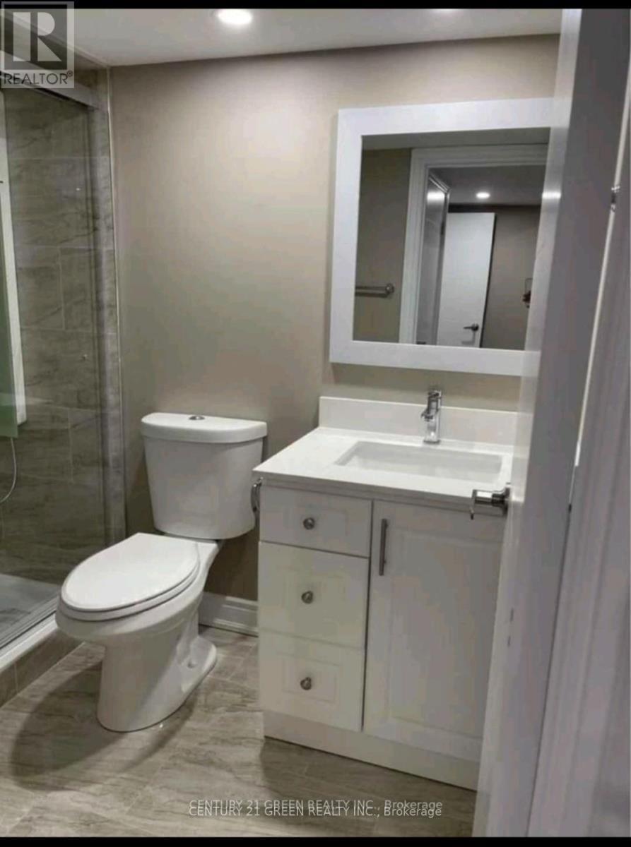 Basement - 1510 Devine Point, Milton, ON - Indoor Photo Showing Bathroom