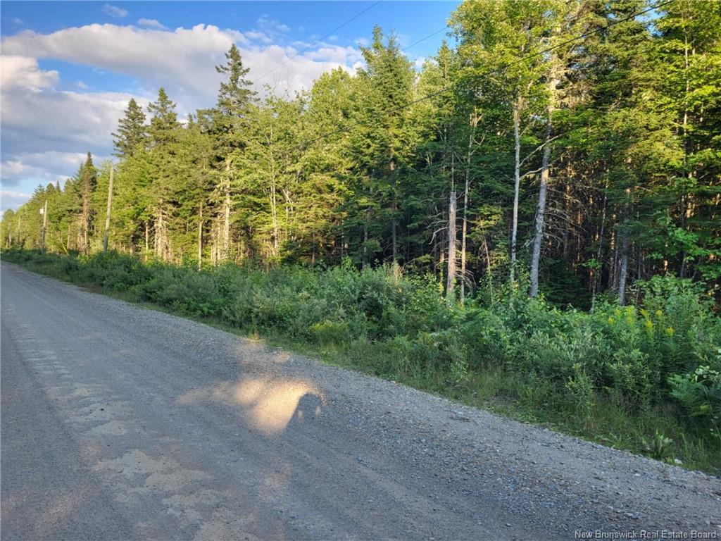 Lot C Zionville Rd, Taymouth, NB