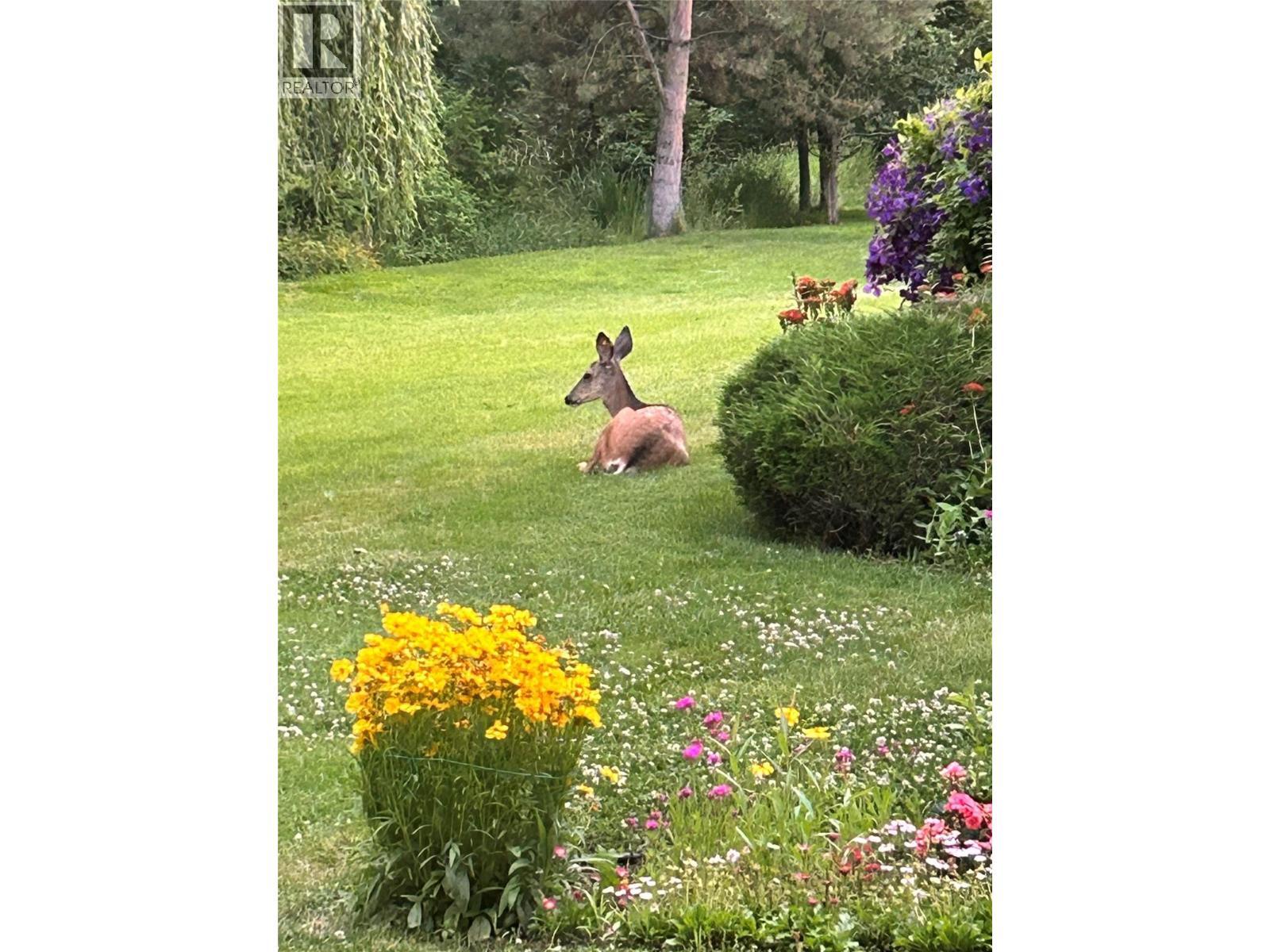 1101 Cameron Avenue Unit# 60, Kelowna, BC - Outdoor