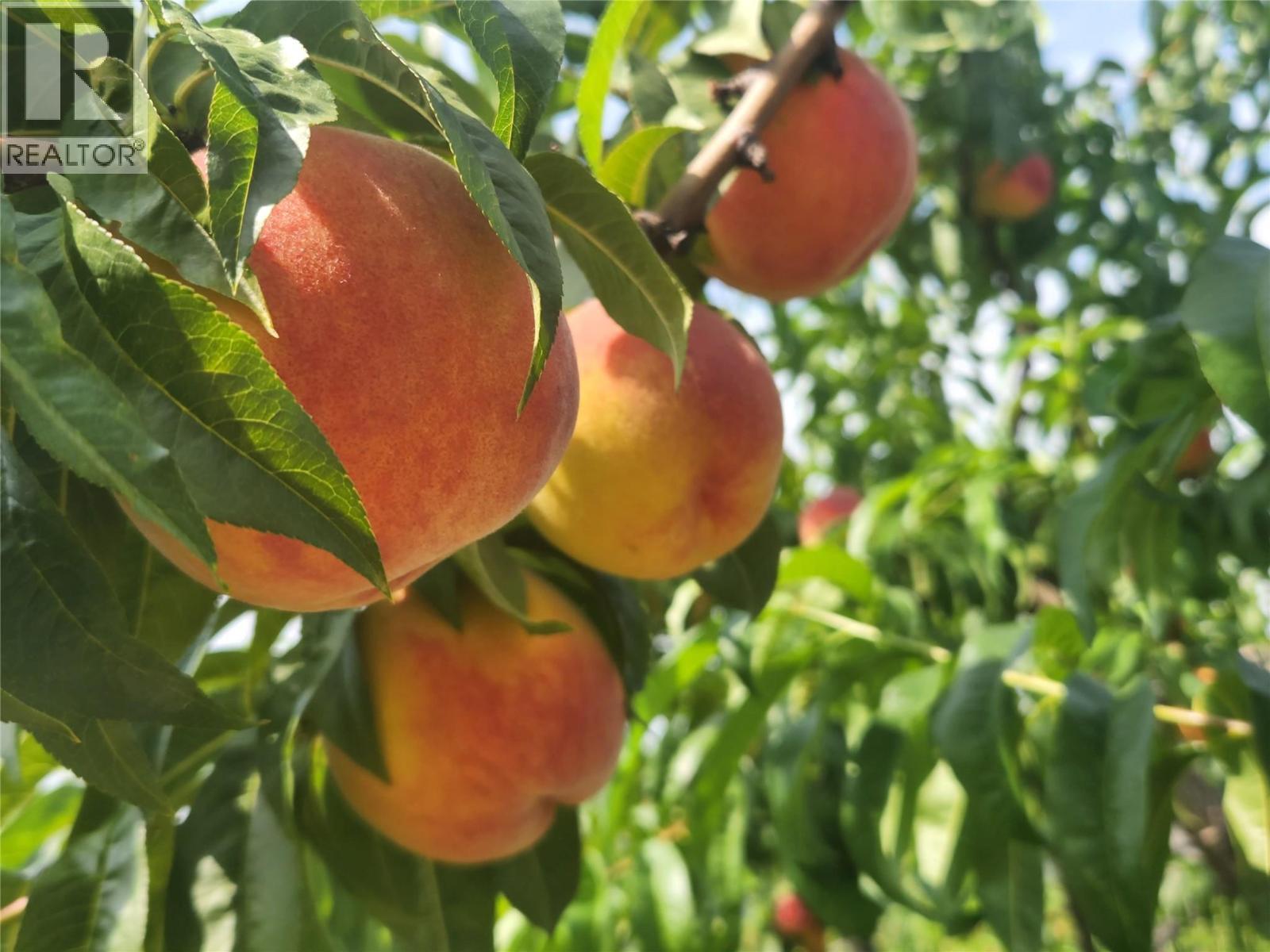 9701 Jones Flat Road, Summerland, BC