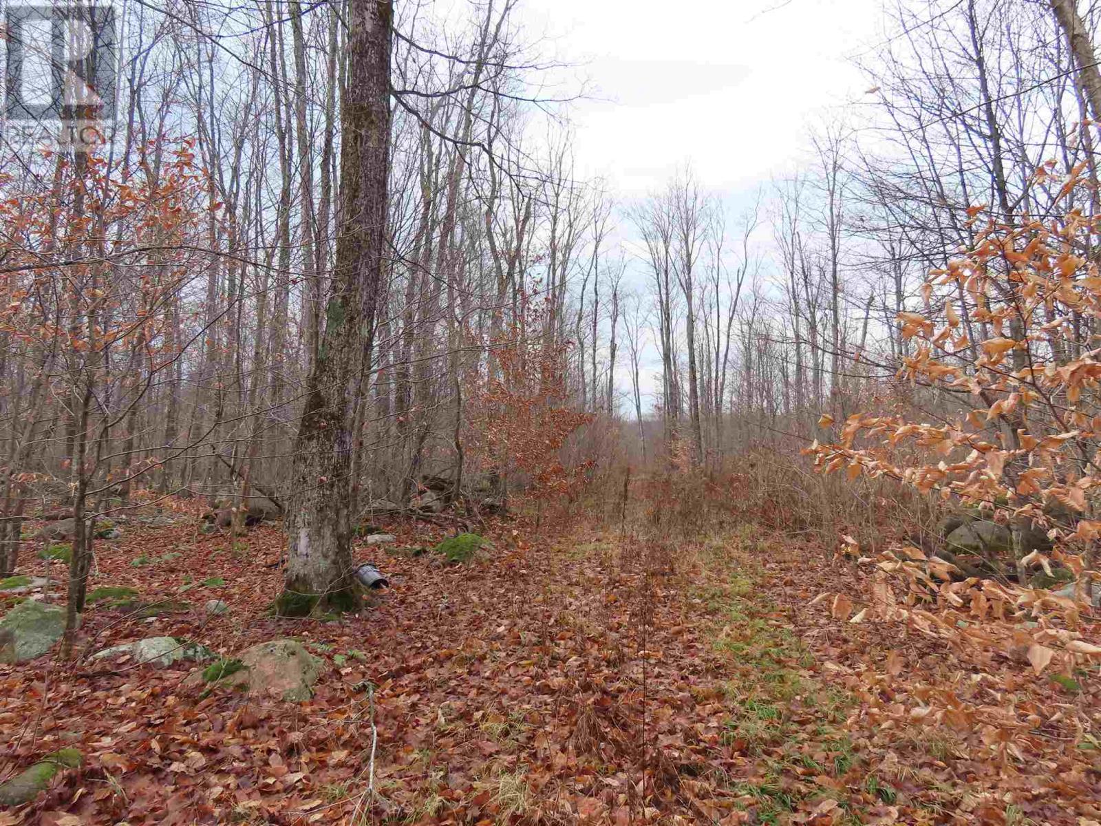 Lot 17 Concession S, Hilton, ON