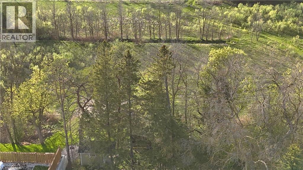 View of woods - 425 Wellington Street E, Mount Forest, ON - Outdoor With View