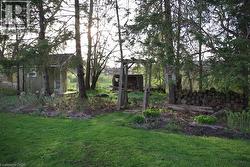 View of green lawn -