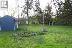 View of green lawn featuring a storage shed -