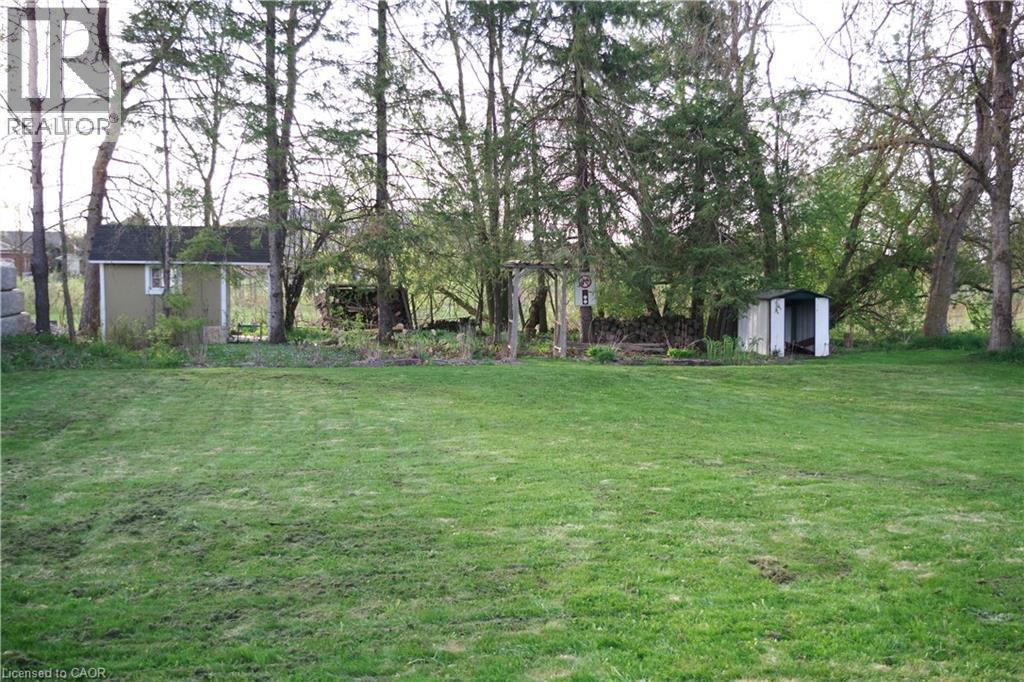 View of green lawn with a shed - 425 Wellington Street E, Mount Forest, ON - Outdoor