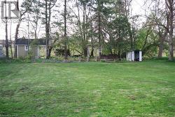 View of green lawn with a shed -