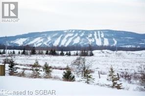 27 Mair Mills Drive, Collingwood, ON - Outdoor With View