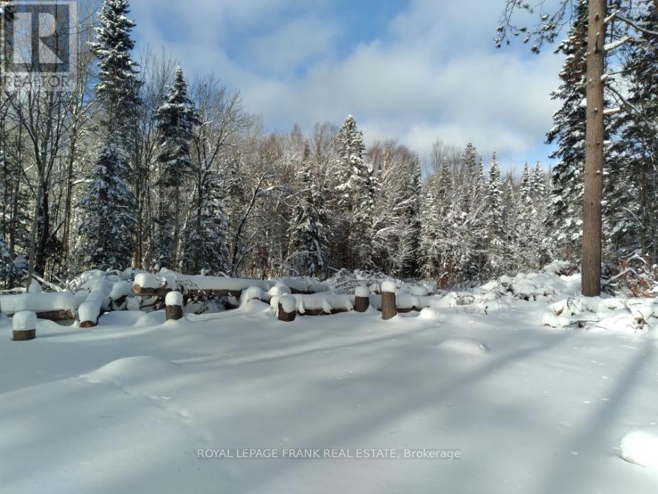 1106 Homestead Road, Highlands East (Cardiff Ward), ON