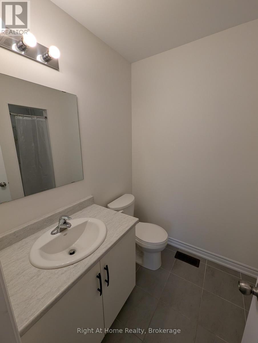 17 Roseberry Lane, Kitchener, ON - Indoor Photo Showing Bathroom