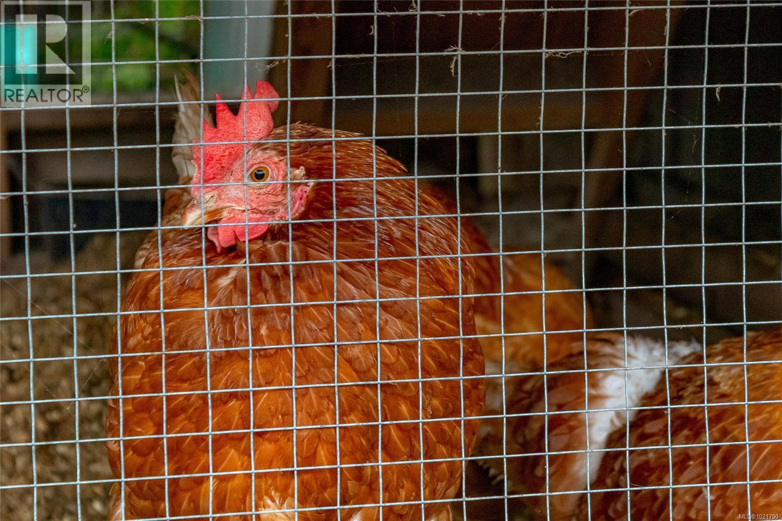 1850 Delanice Way, Nanoose Bay, BC - Indoor