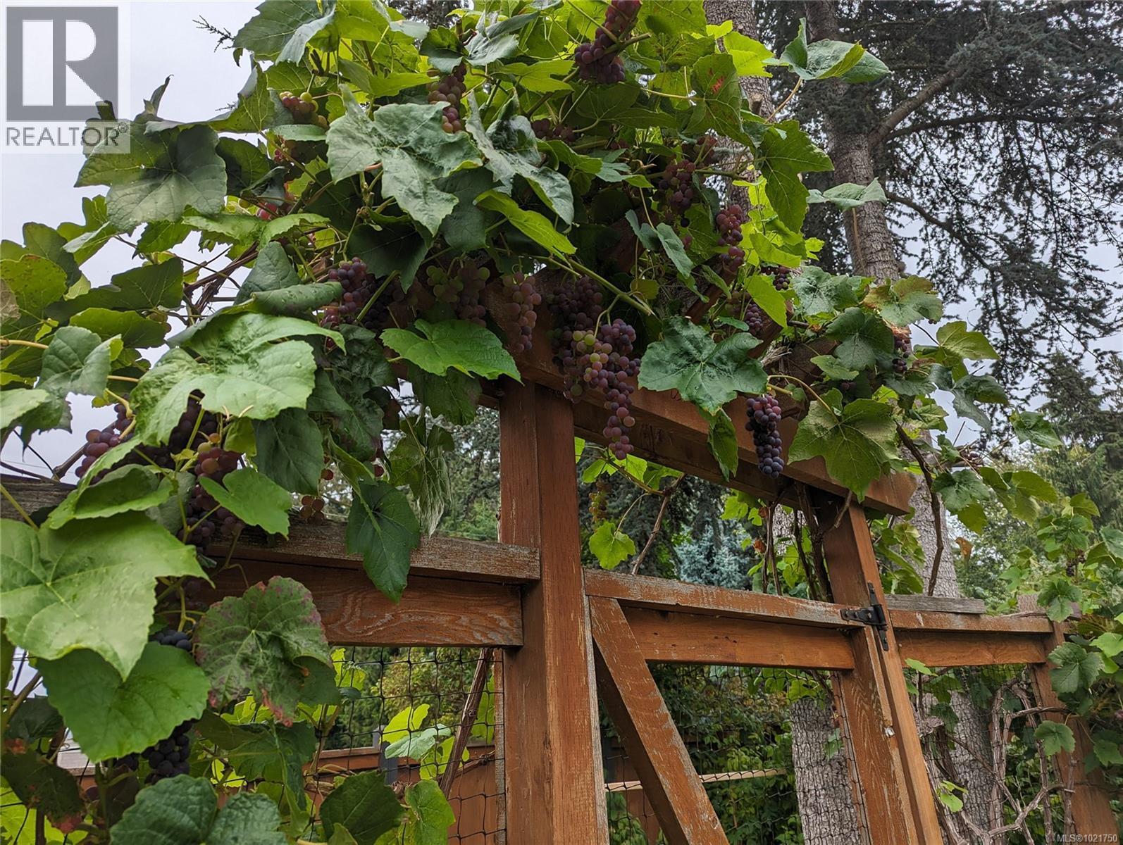 1850 Delanice Way, Nanoose Bay, BC - Outdoor