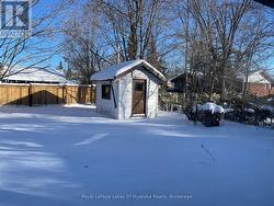 Garden shed in the back yard great extra storage -