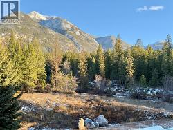 views from deck facing creek -
