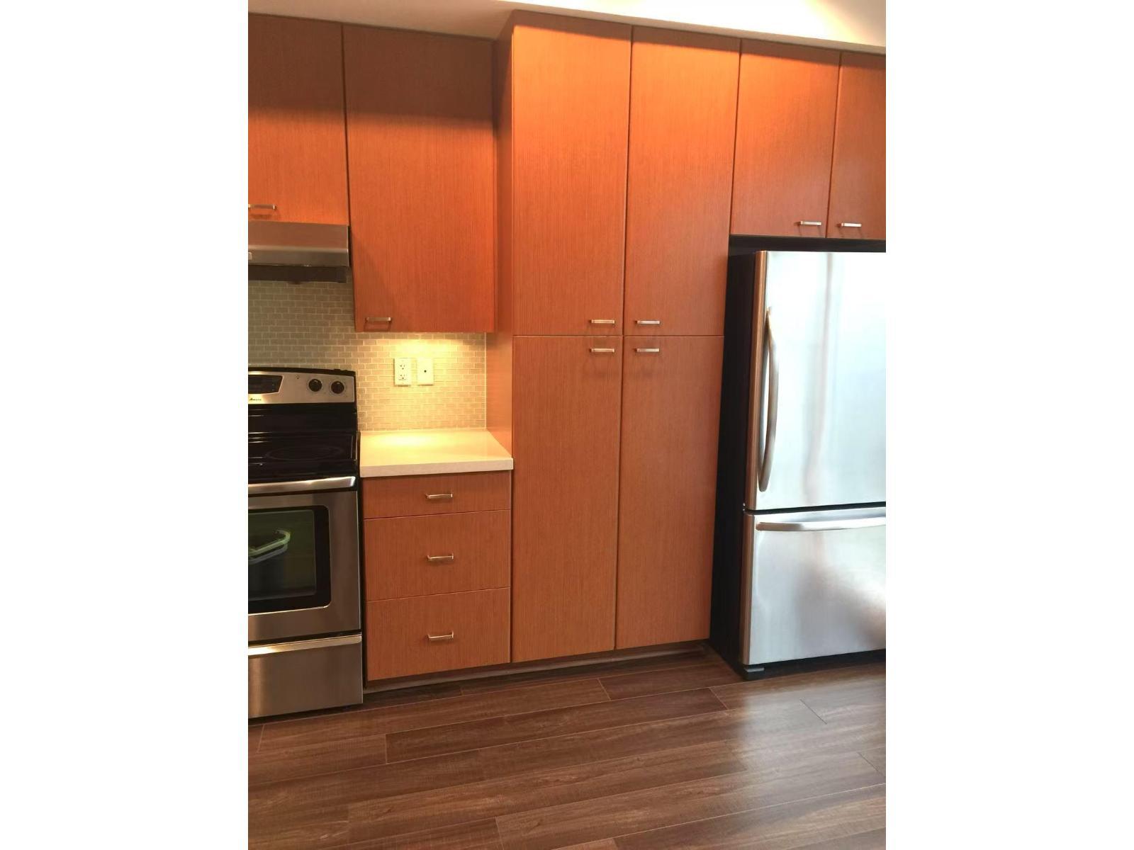 53 2450 161A Street, Surrey, BC - Indoor Photo Showing Kitchen