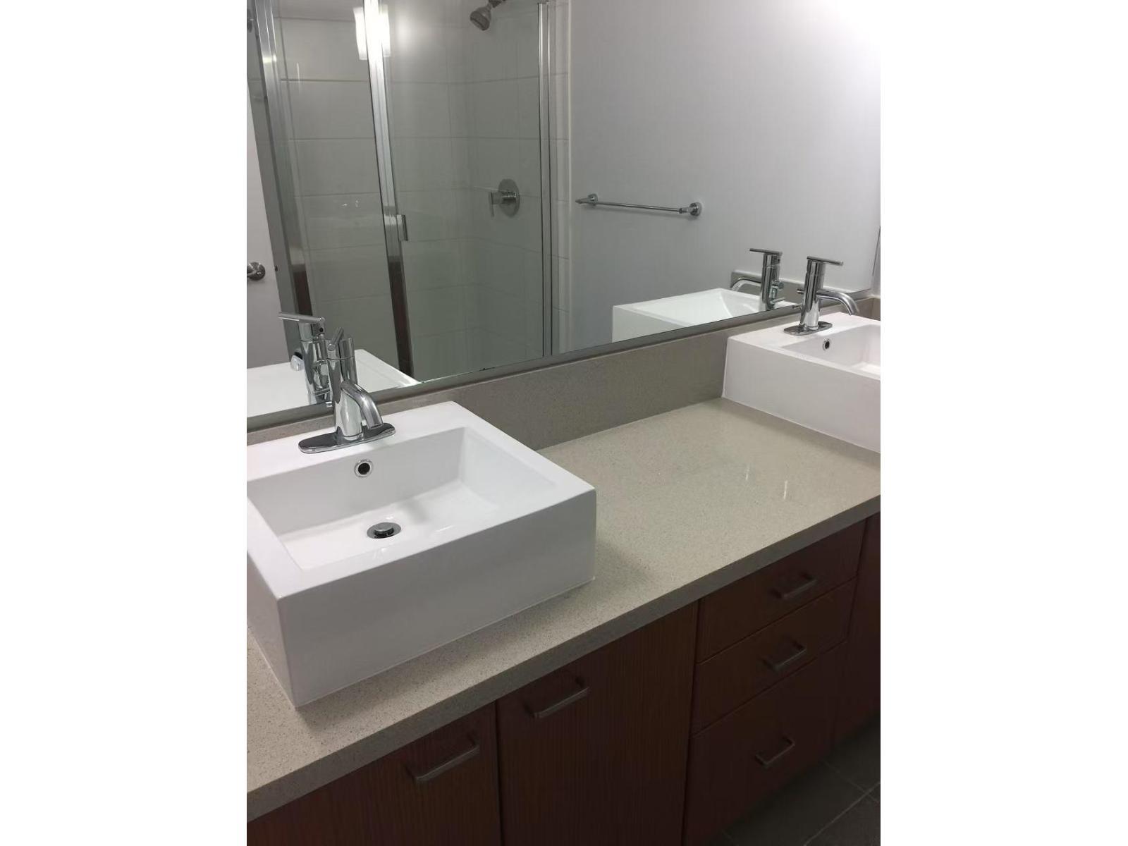 53 2450 161A Street, Surrey, BC - Indoor Photo Showing Bathroom