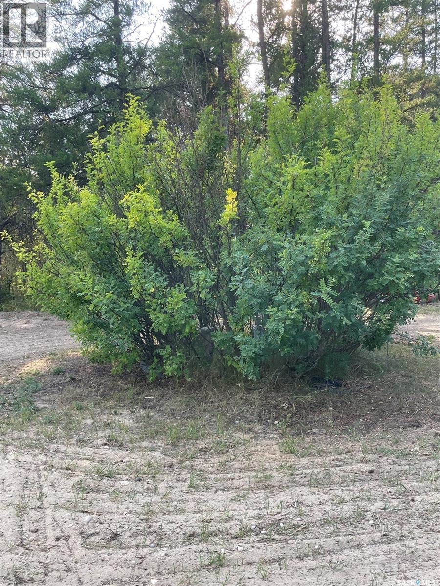 Starter Acreage, Hudson Bay Rm No. 394, SK