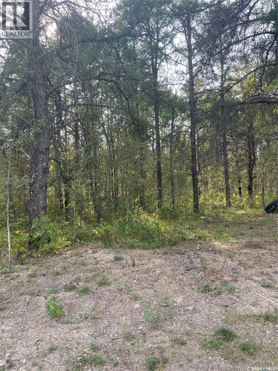 Starter Acreage, Hudson Bay Rm No. 394, SK