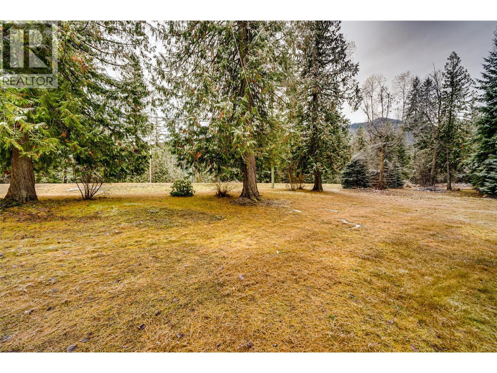 3137 Enderby Mabel Lake Road, Enderby, BC - Outdoor