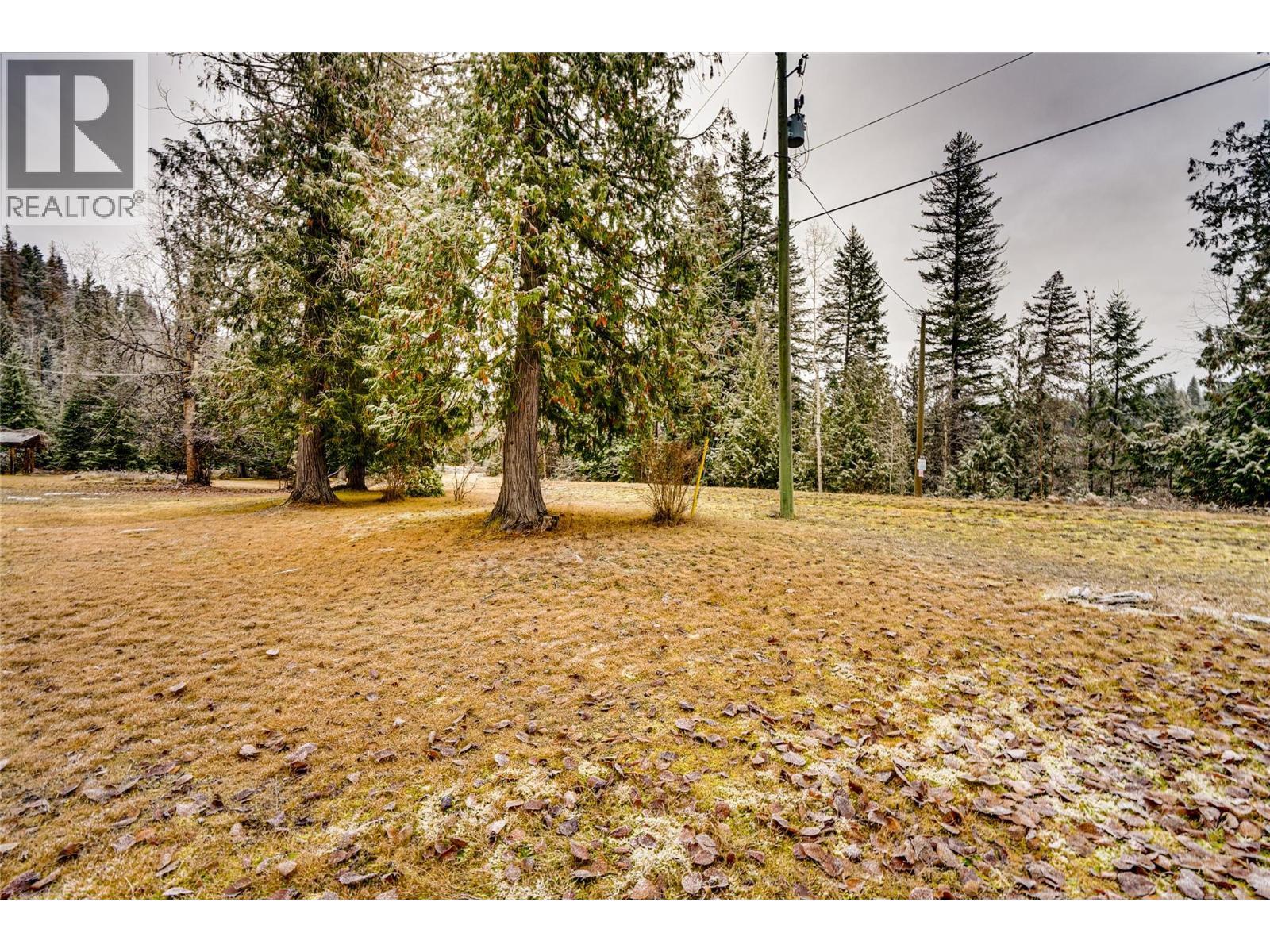 3137 Enderby Mabel Lake Road, Enderby, BC - Outdoor