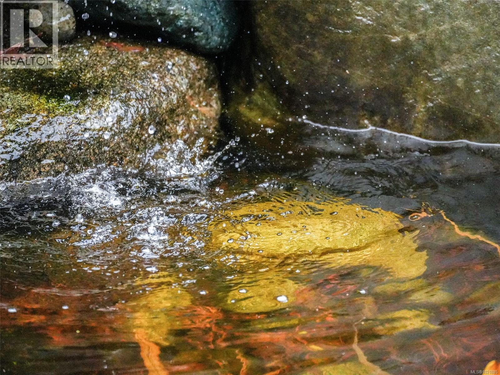 25 1286 Tolmie Ave, Saanich, BC - Outdoor