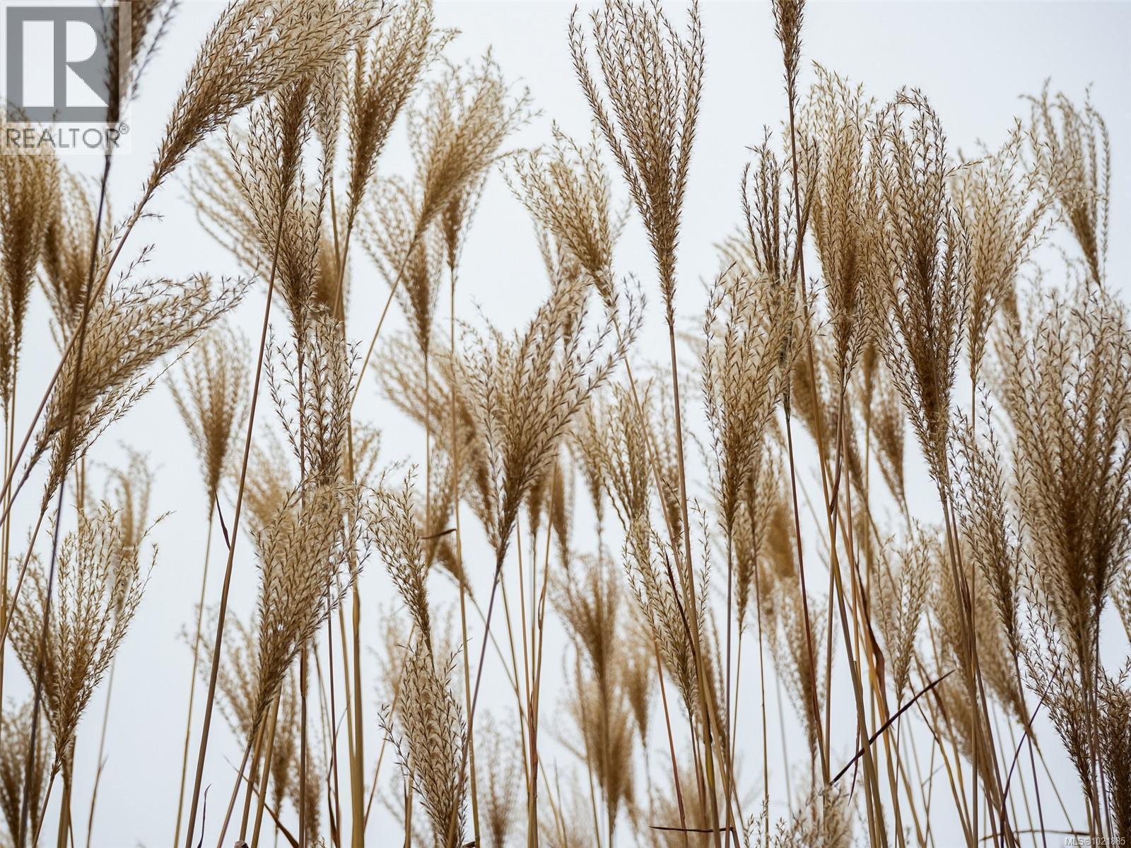 25 1286 Tolmie Ave, Saanich, BC - Photo Showing Other Room