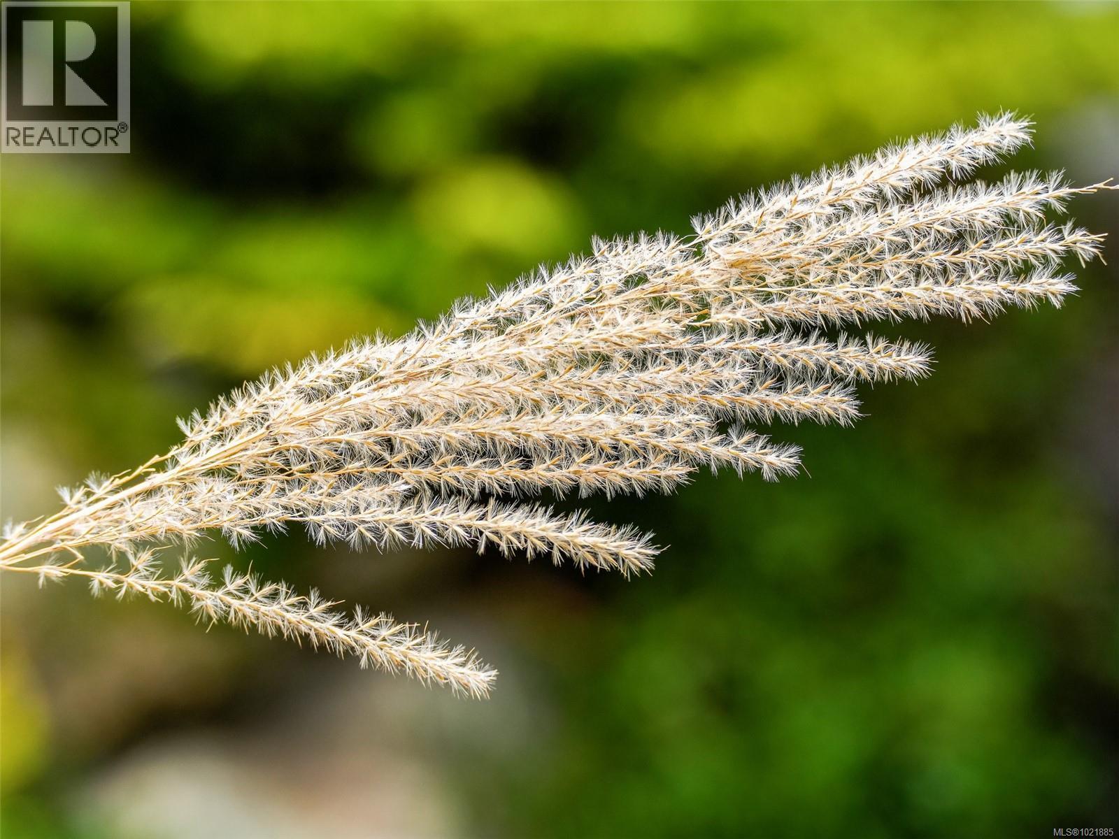 25 1286 Tolmie Ave, Saanich, BC - Outdoor With Body Of Water With View